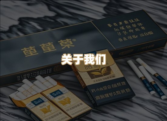 关于蓝帝网